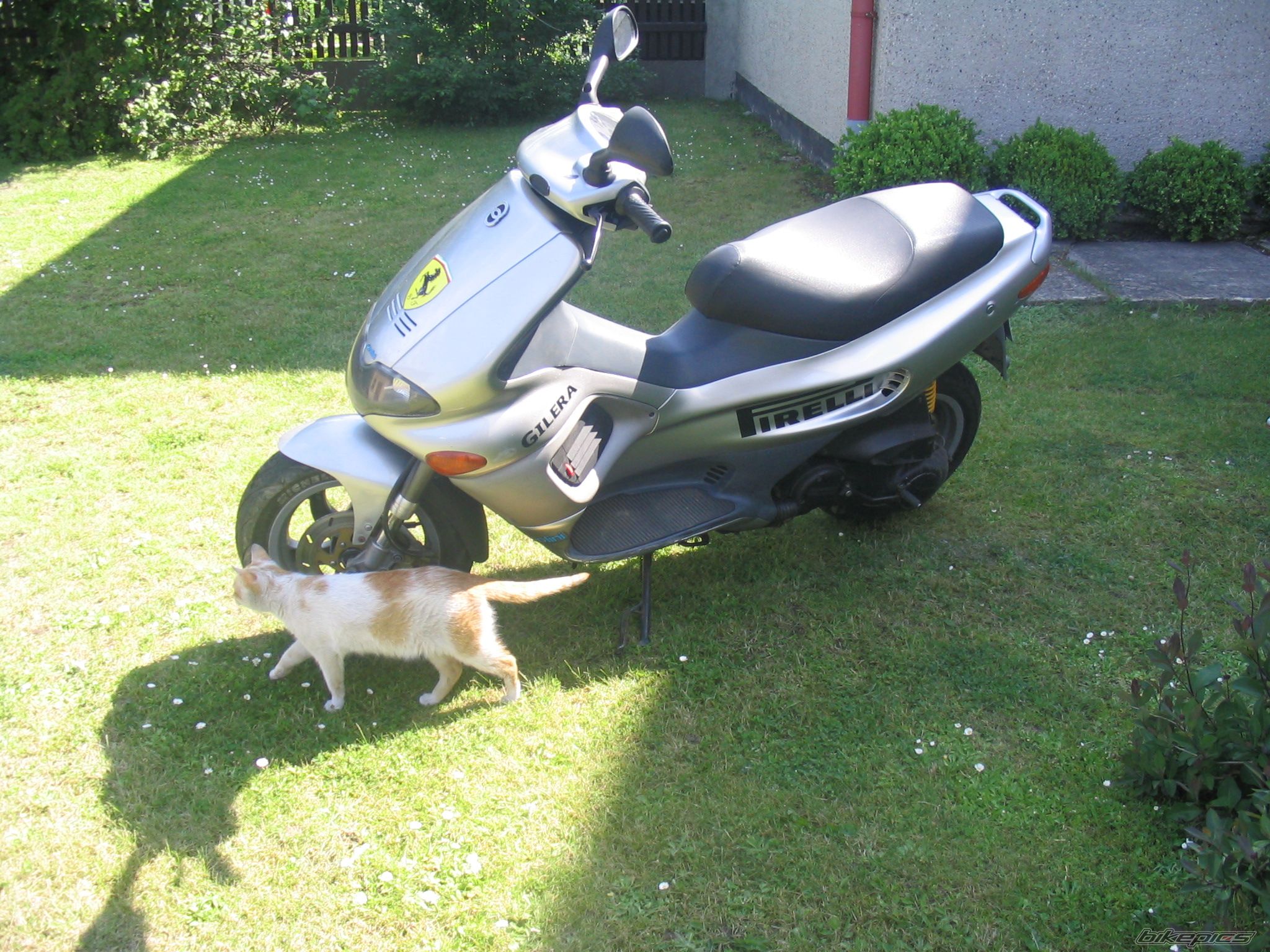 Photo 639432