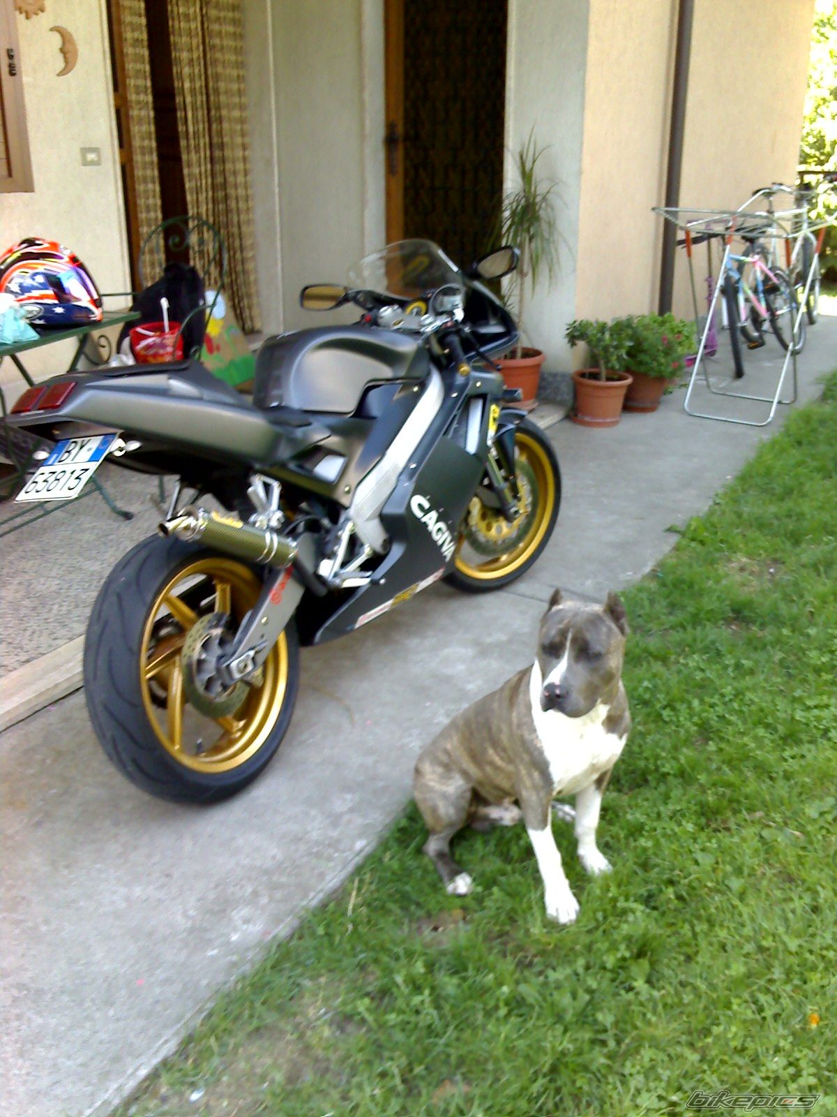 Bike Photo 639743