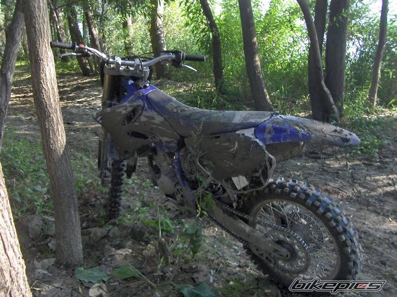 Photo 639751