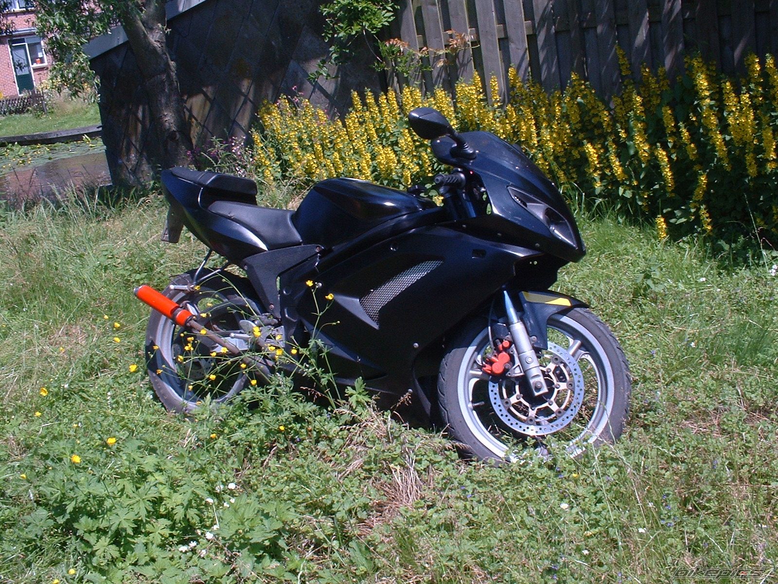Photo 639874