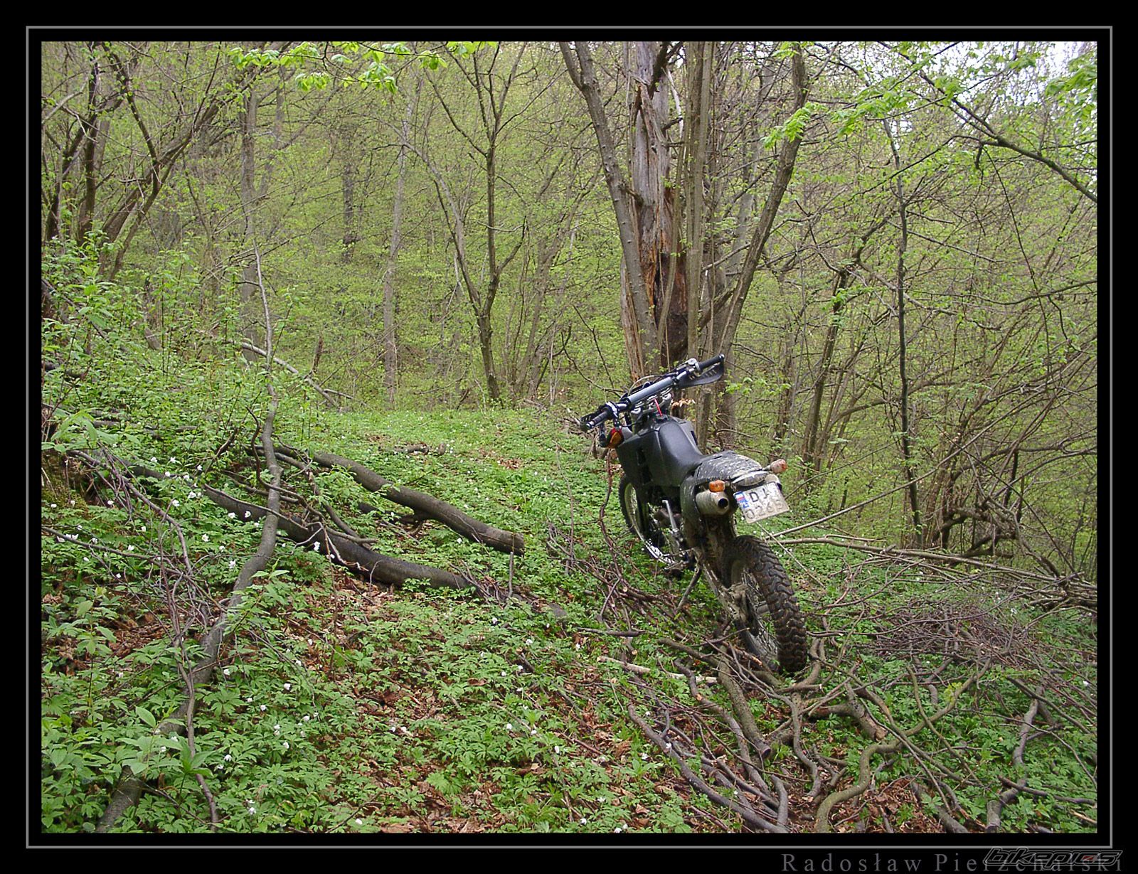 Photo 640301