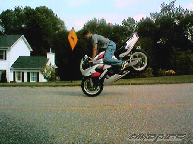 Photo 641