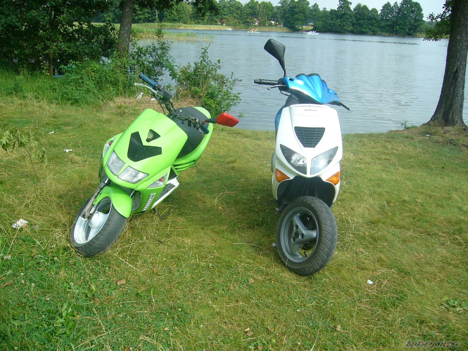 Photo 641007