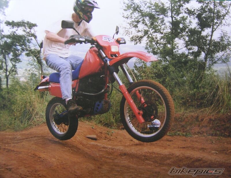 Bike Photo 641040