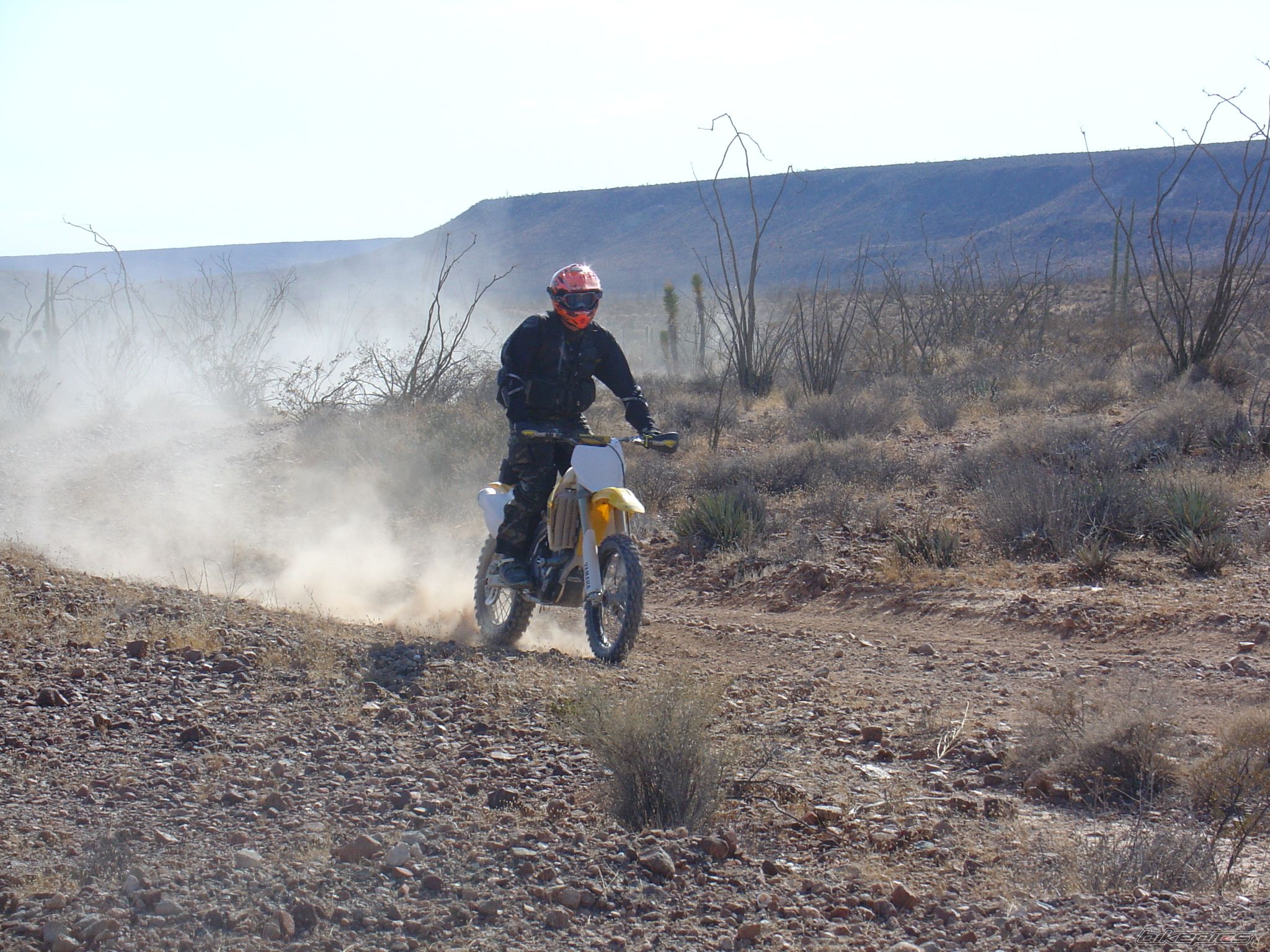 Photo 641197