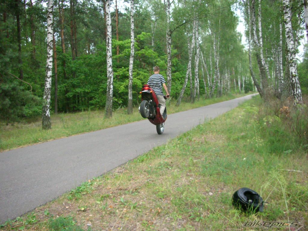 Photo 641385
