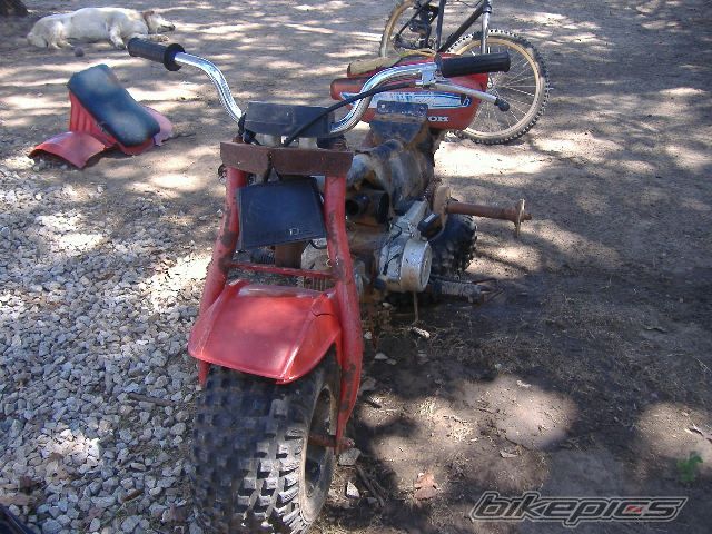 Photo 642440
