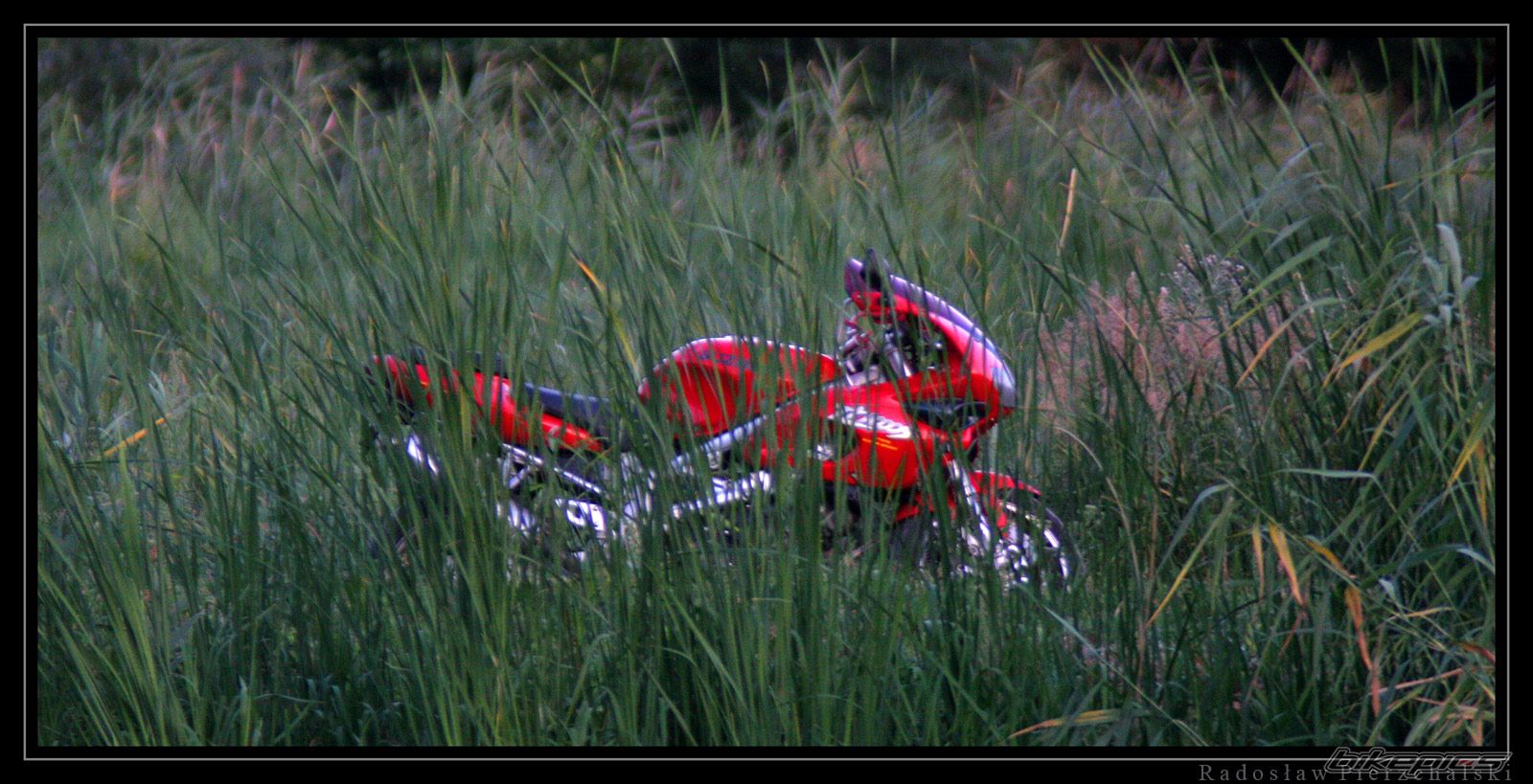 Bike Photo 642548