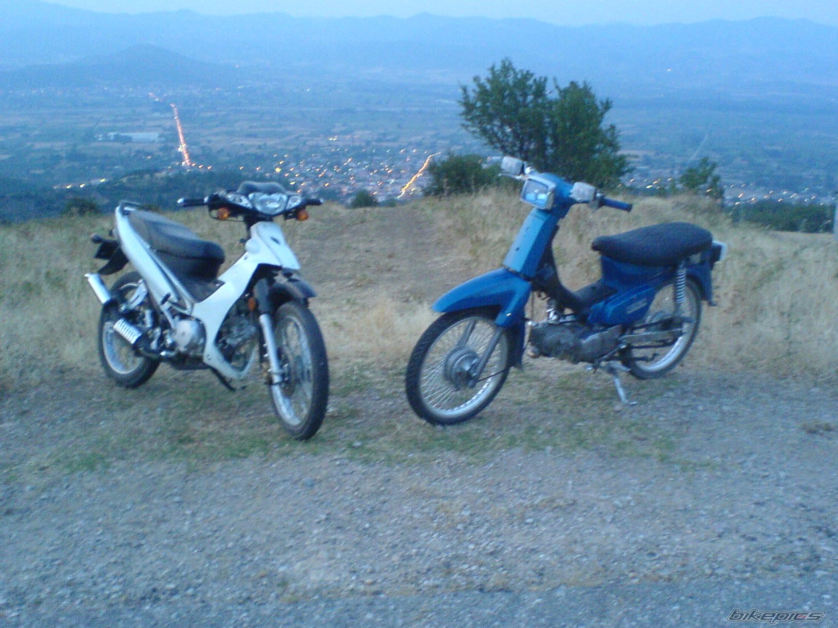 Photo 642658