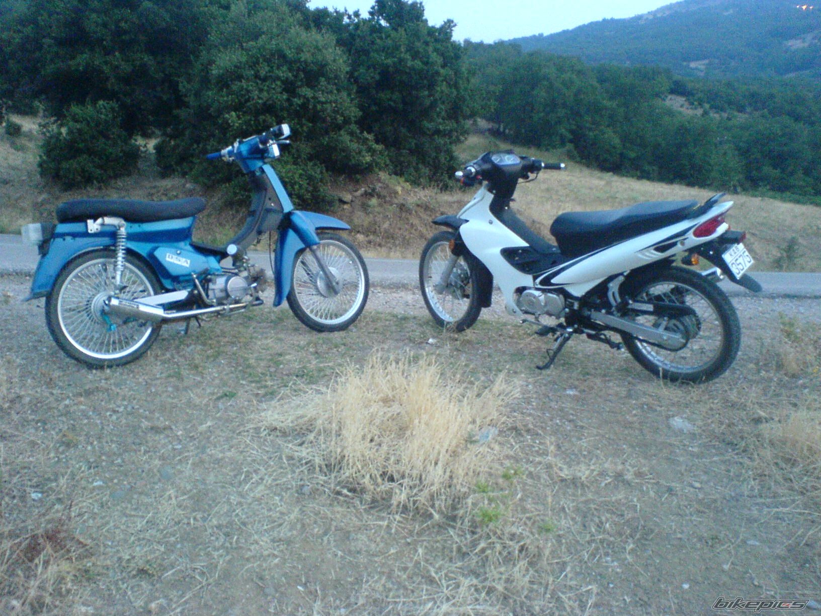 Photo 642663