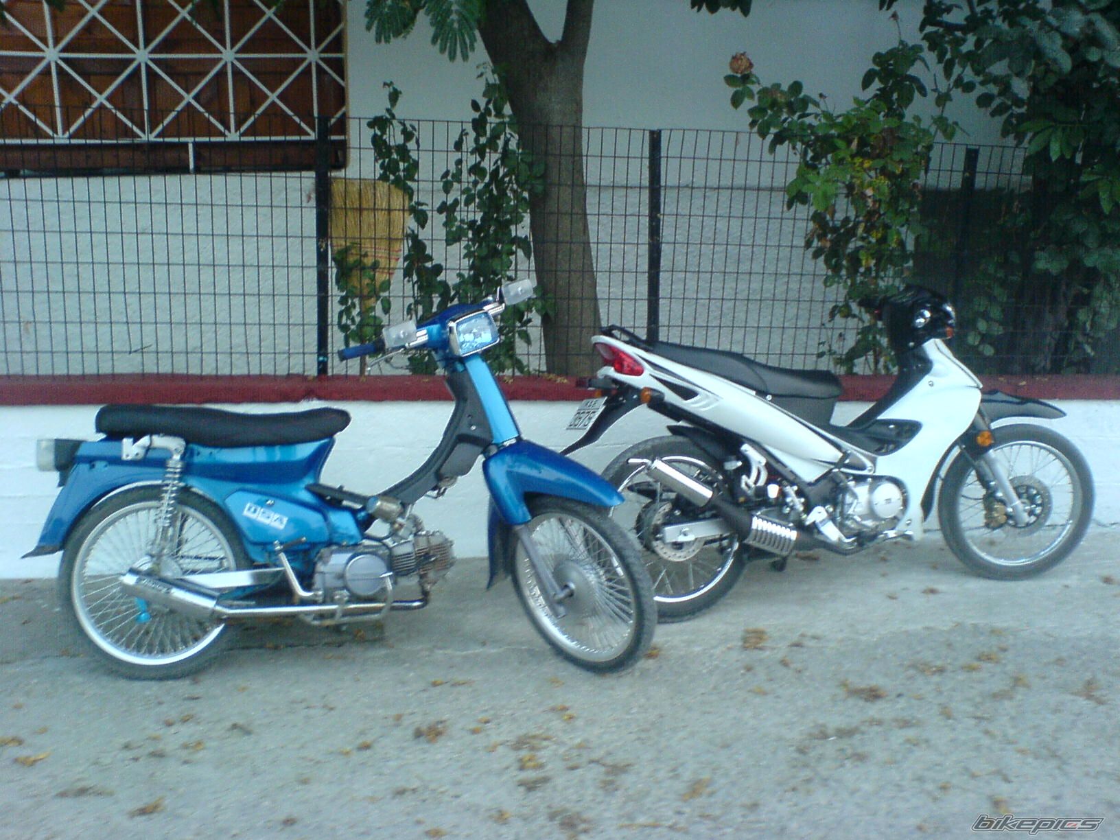 Photo 642666