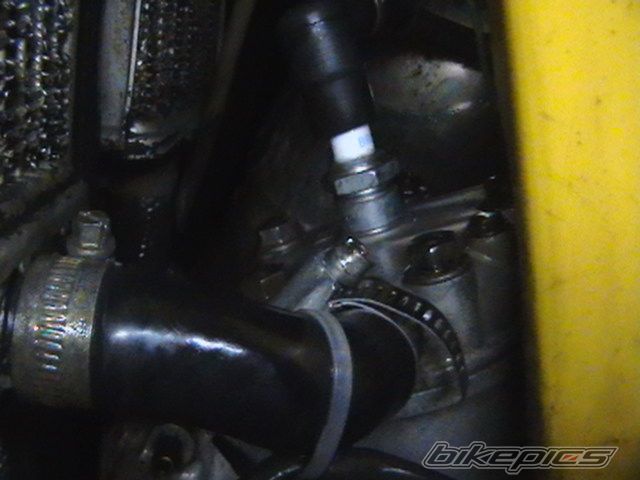 Photo 643273