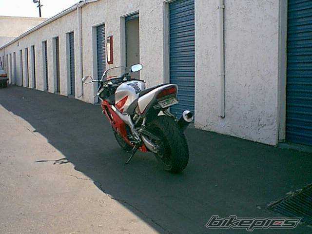 Photo 6433