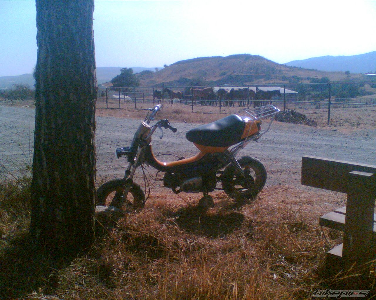 Photo 643955