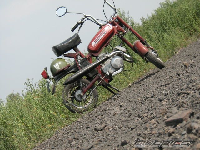 Photo 644335