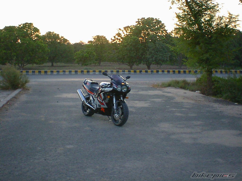 Photo 645350