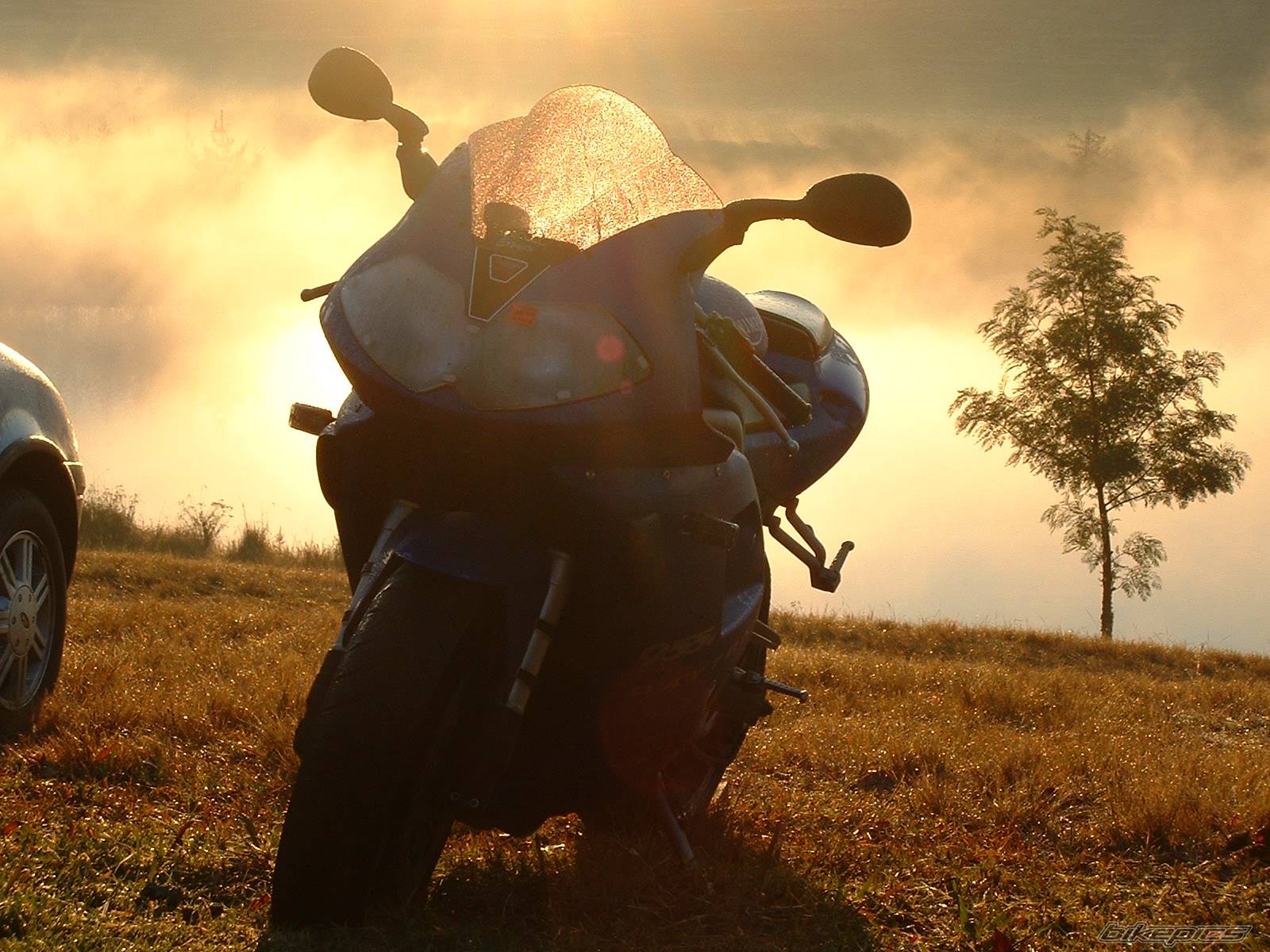 Bike Photo 64580