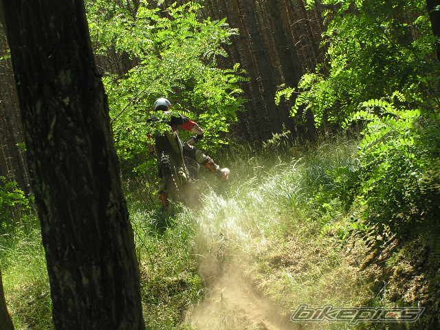 Bike Photo 645871