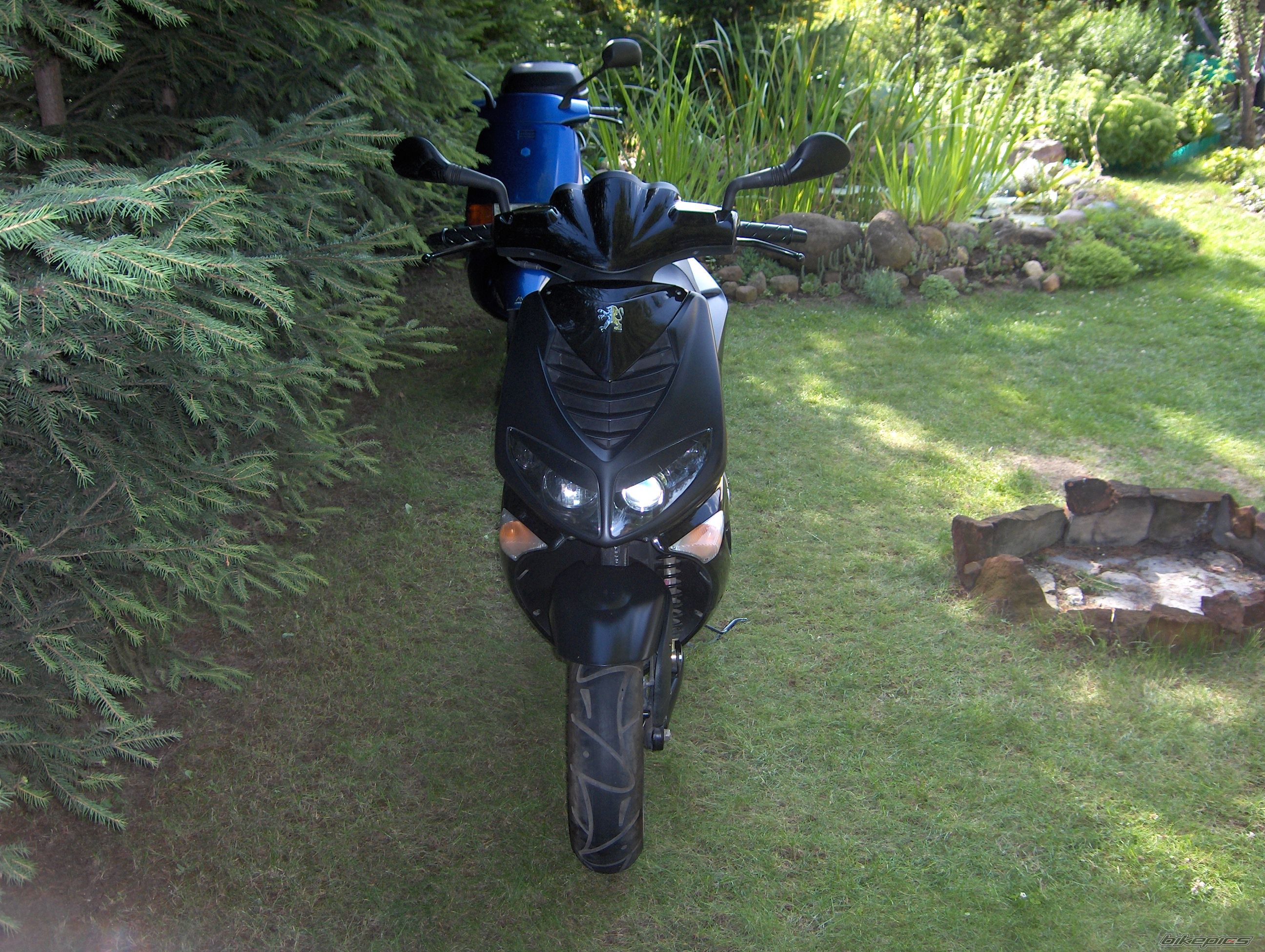 Photo 646037