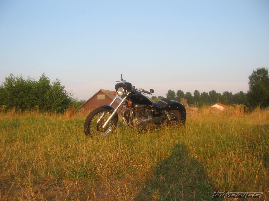 Photo 646120