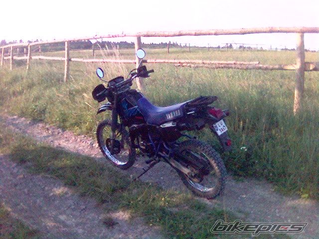 Photo 646131