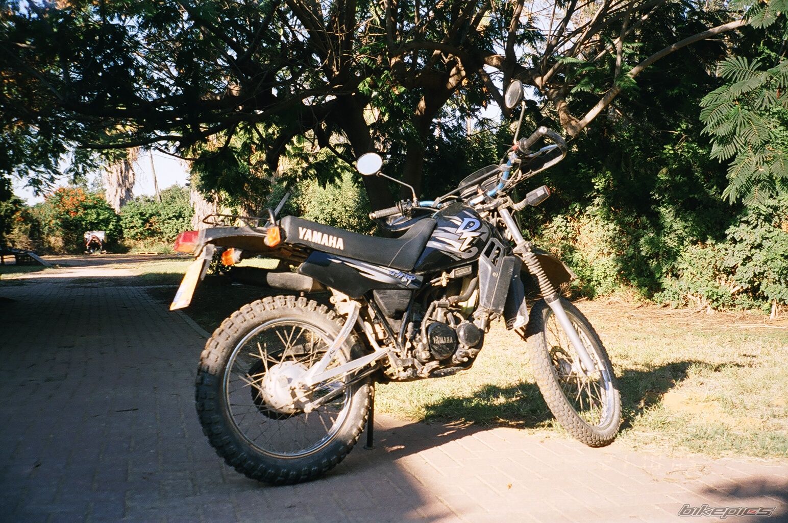 Bike Photo 646469