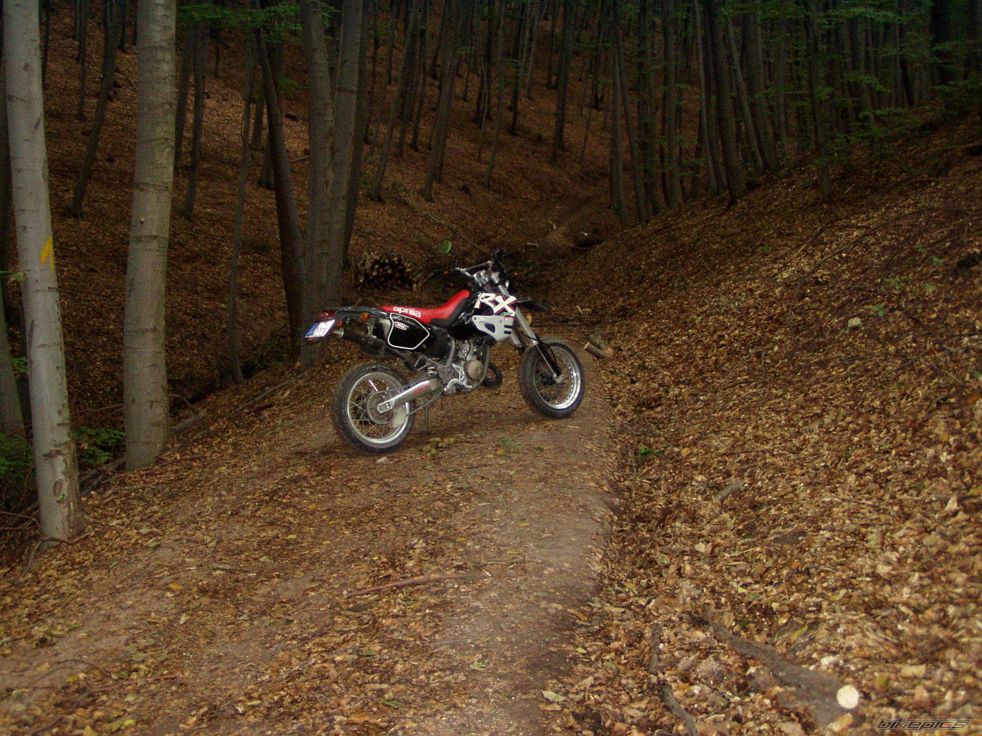 Bike Photo 646486