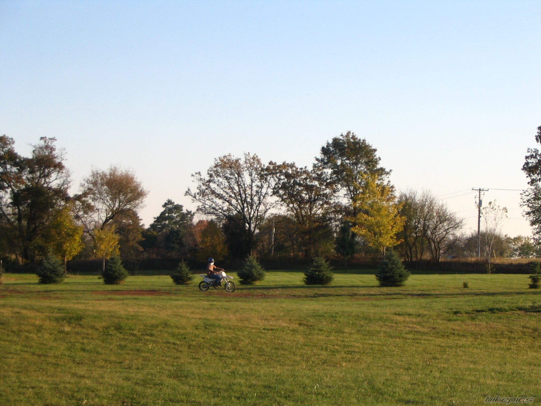 Photo 646627