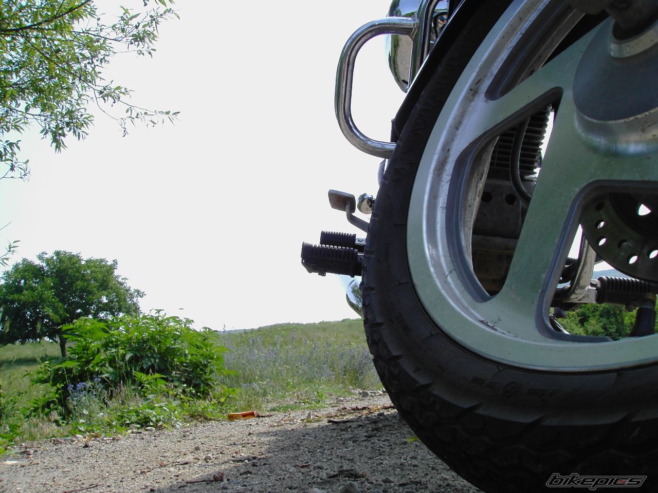 Photo 646773