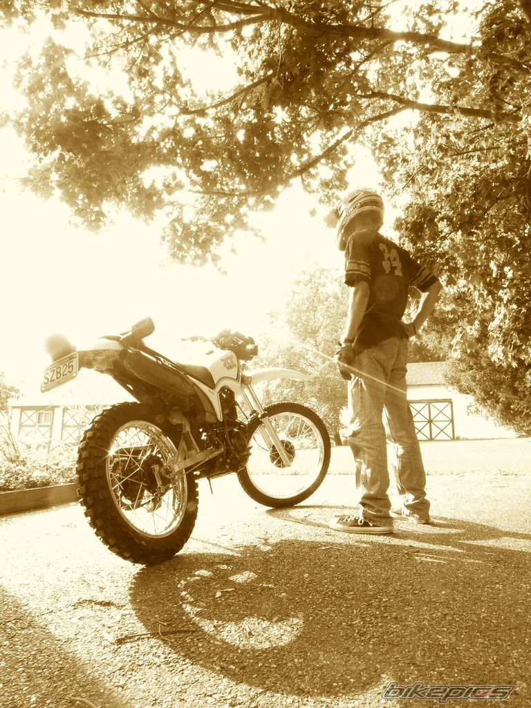Photo 646952