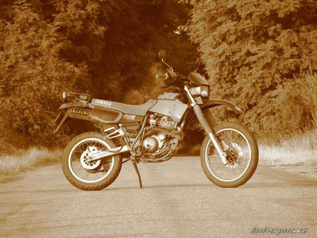 Bike Photo 647008