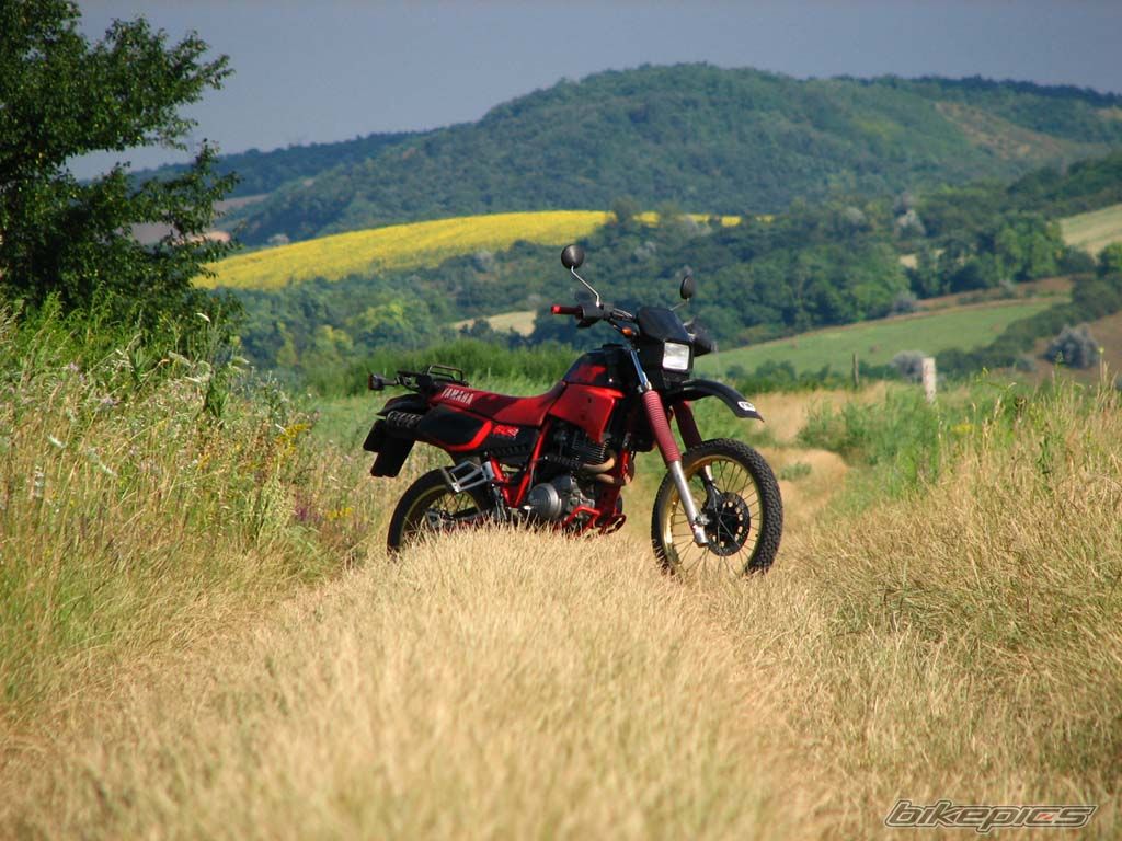 Bike Photo 647012