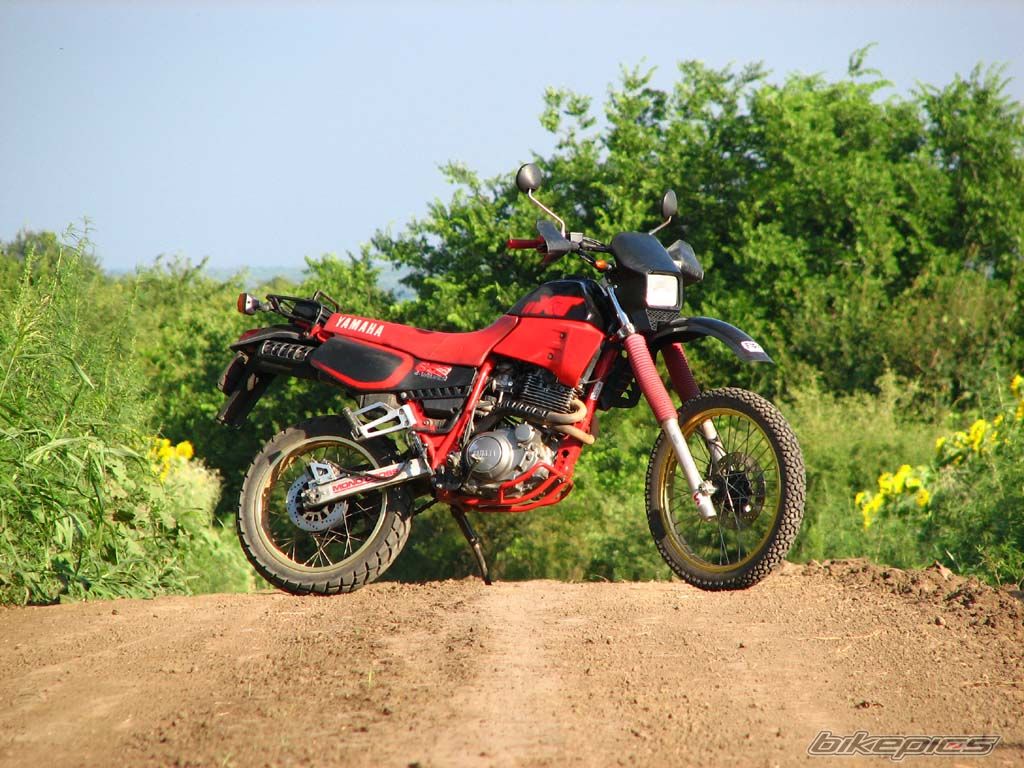 Bike Photo 647015