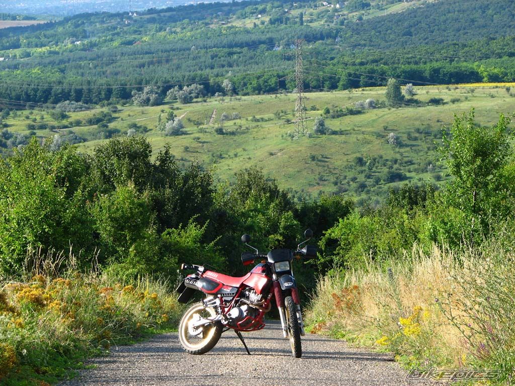 Bike Photo 647017