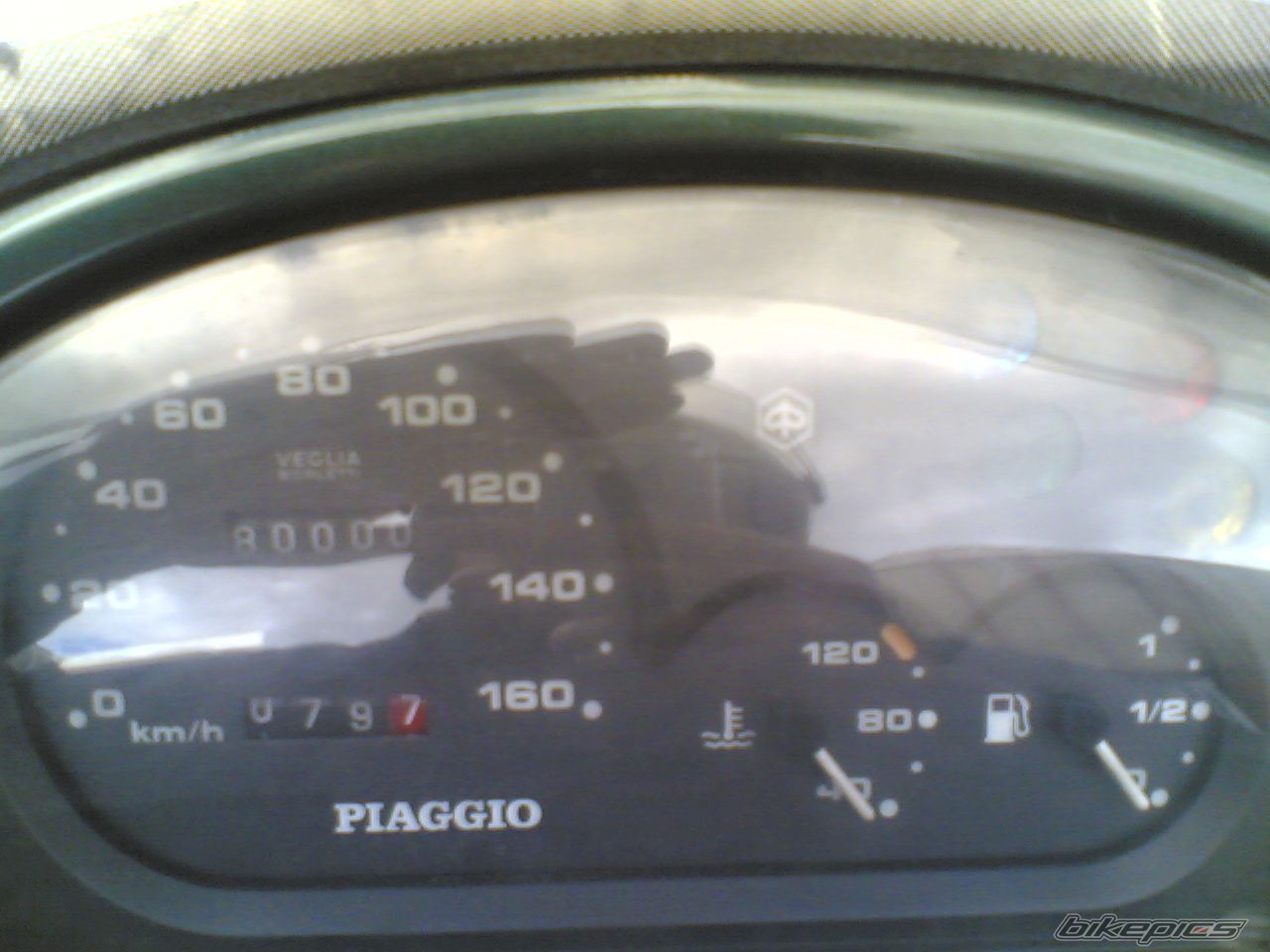 Photo 647463