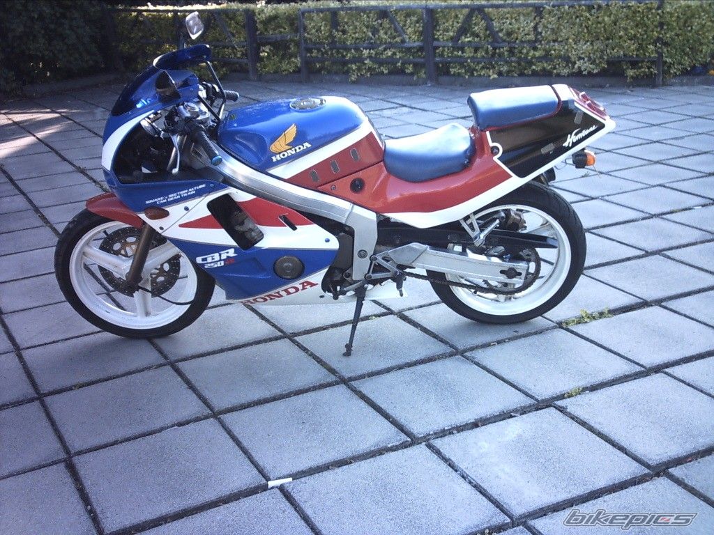 Photo 647548