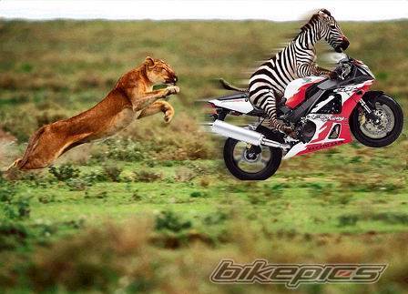 Bike Photo 64756