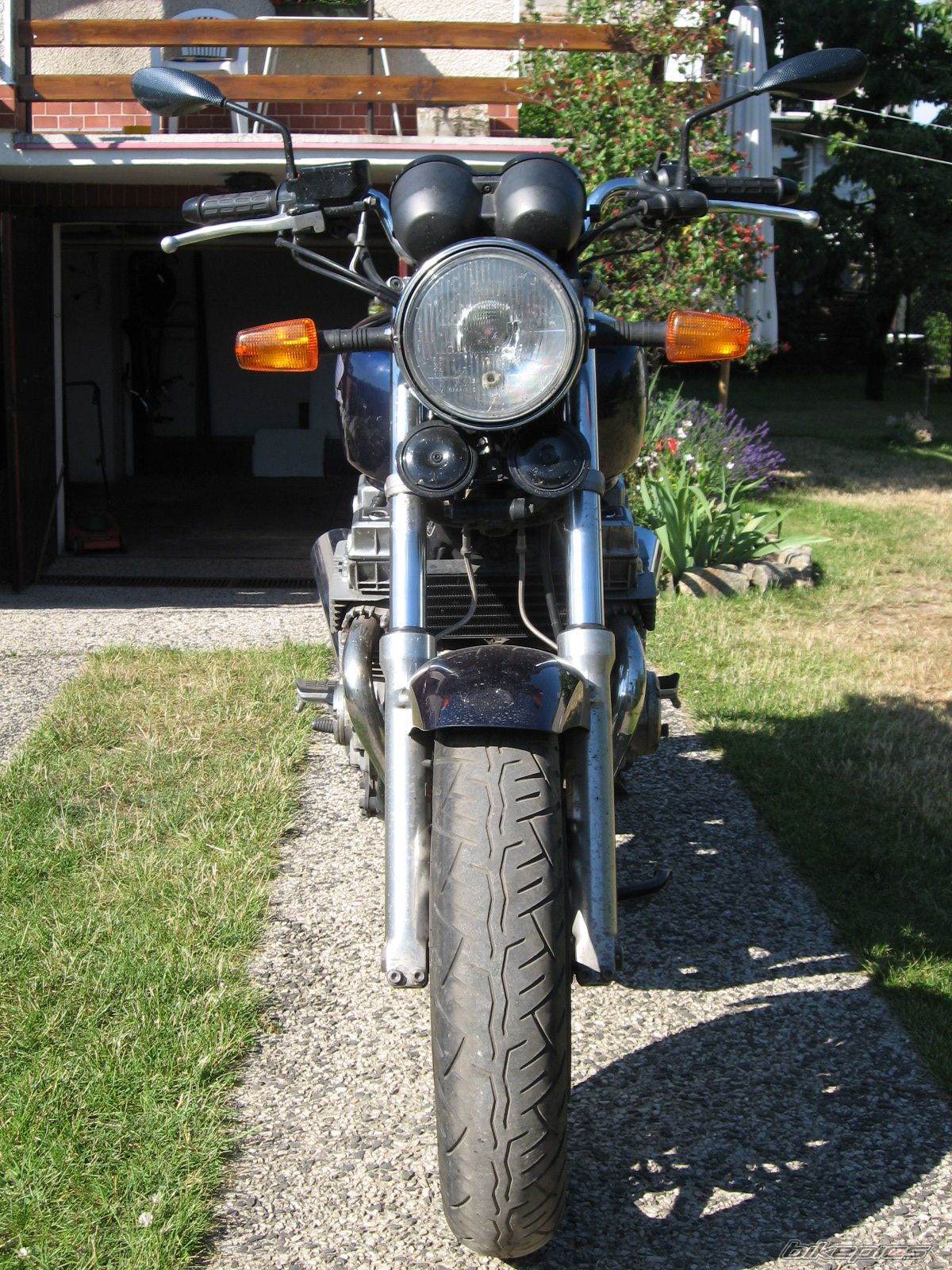 Photo 647573