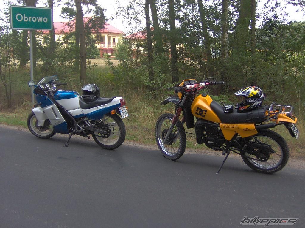 Photo 647642