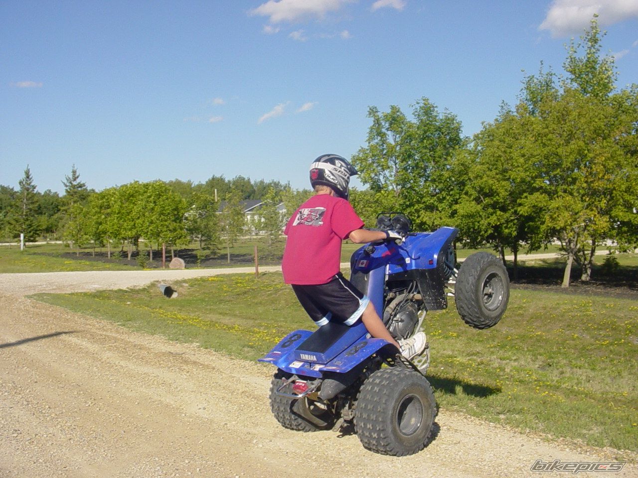 Photo 647781