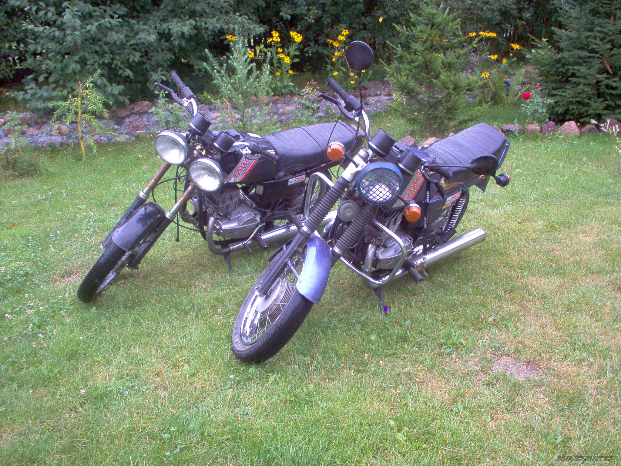 Photo 647922