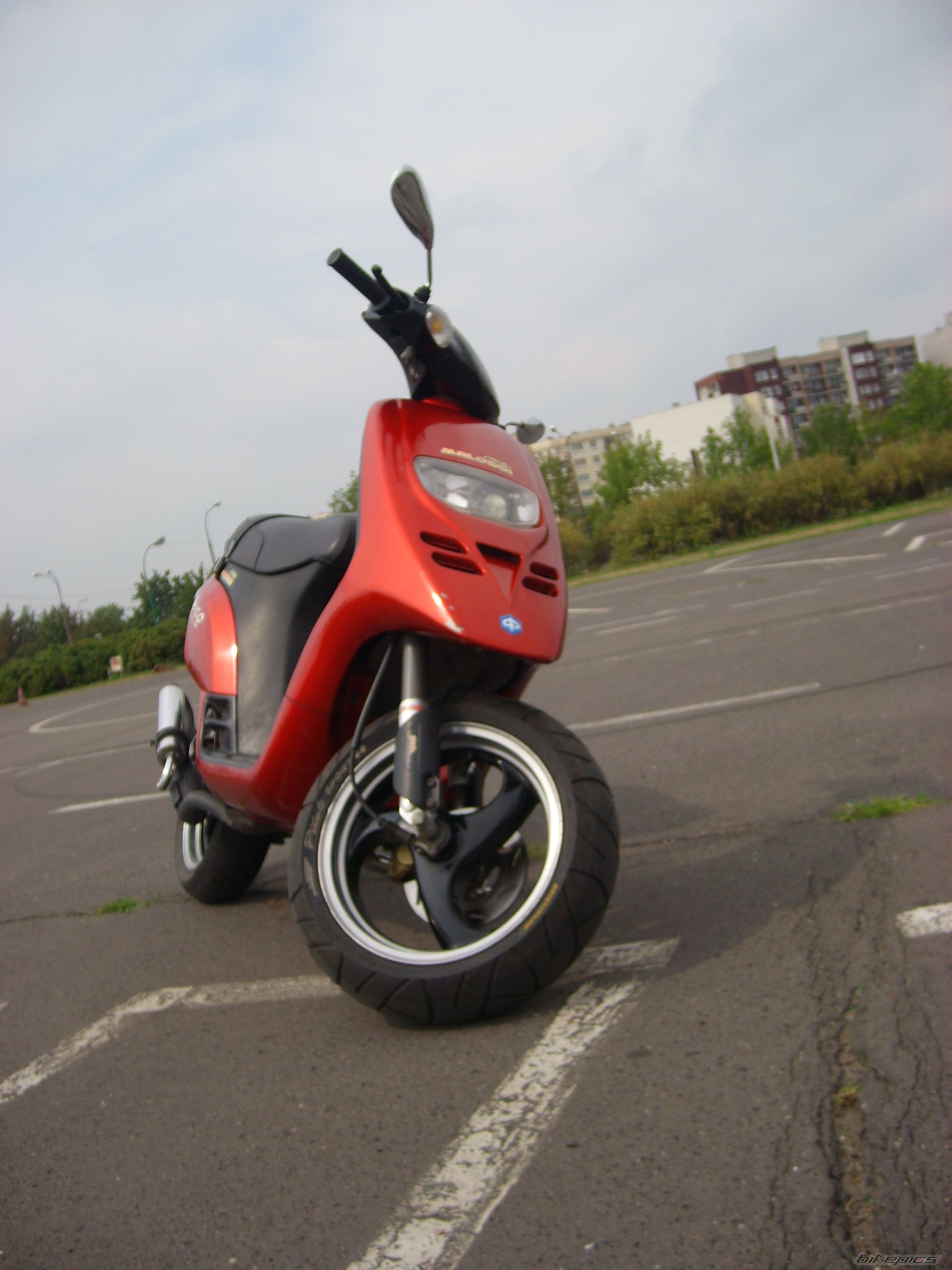 Photo 648088