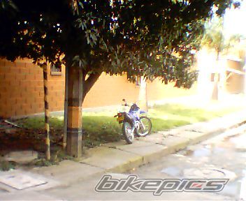 Photo 648118