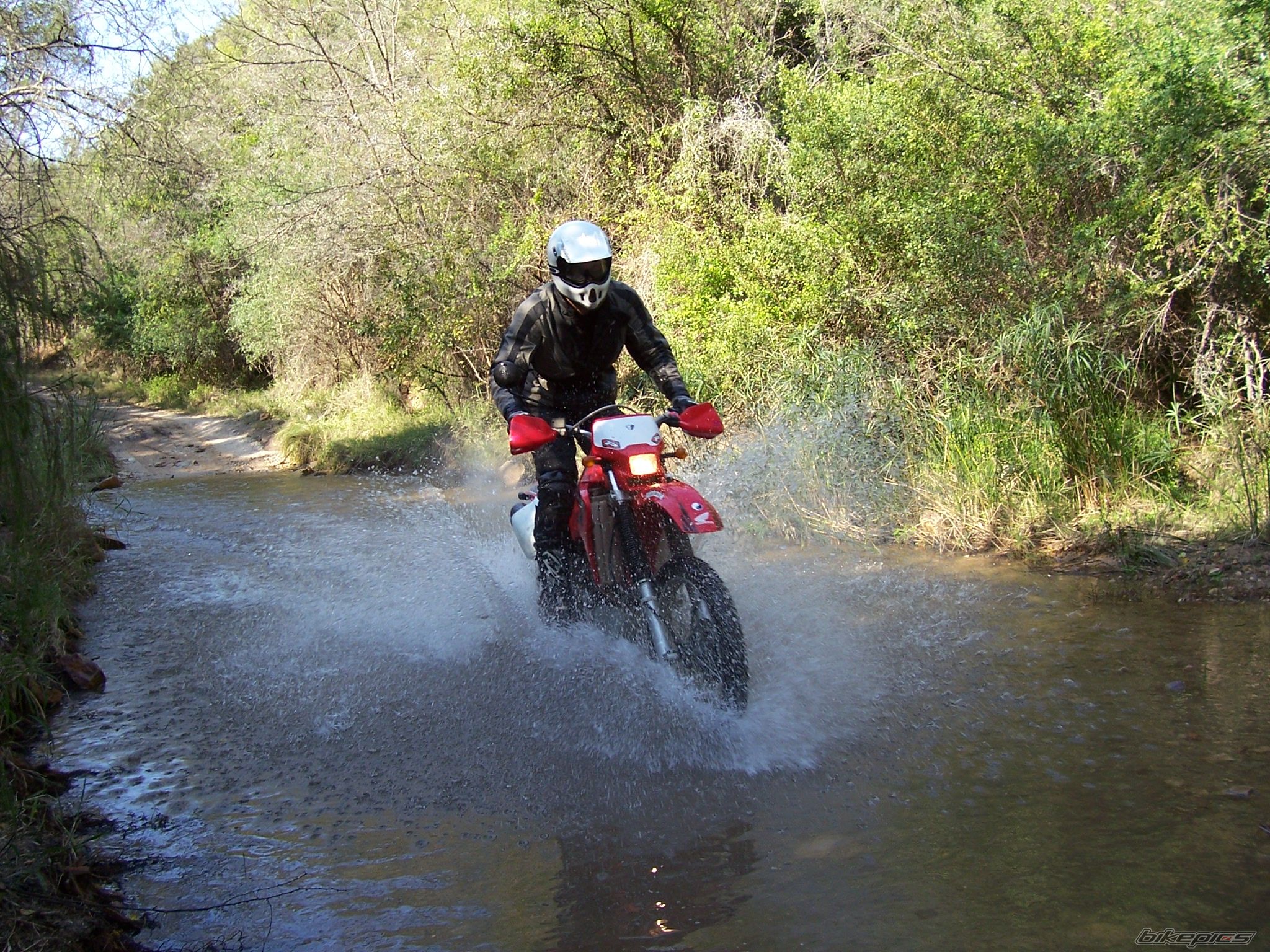 Bike Photo 648158