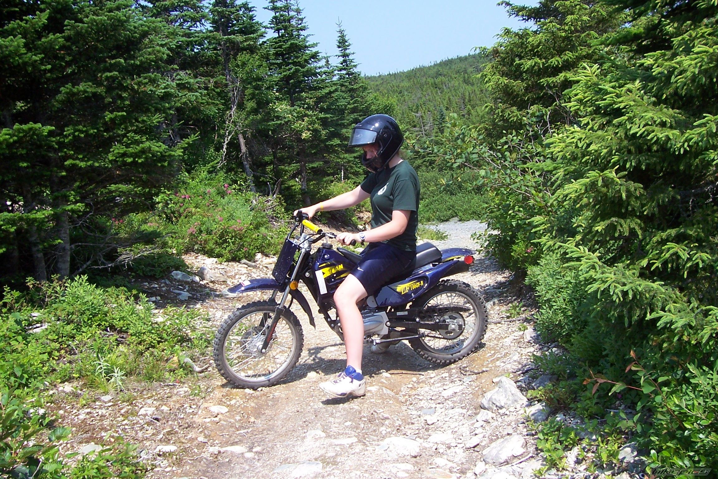 Bike Photo 648732