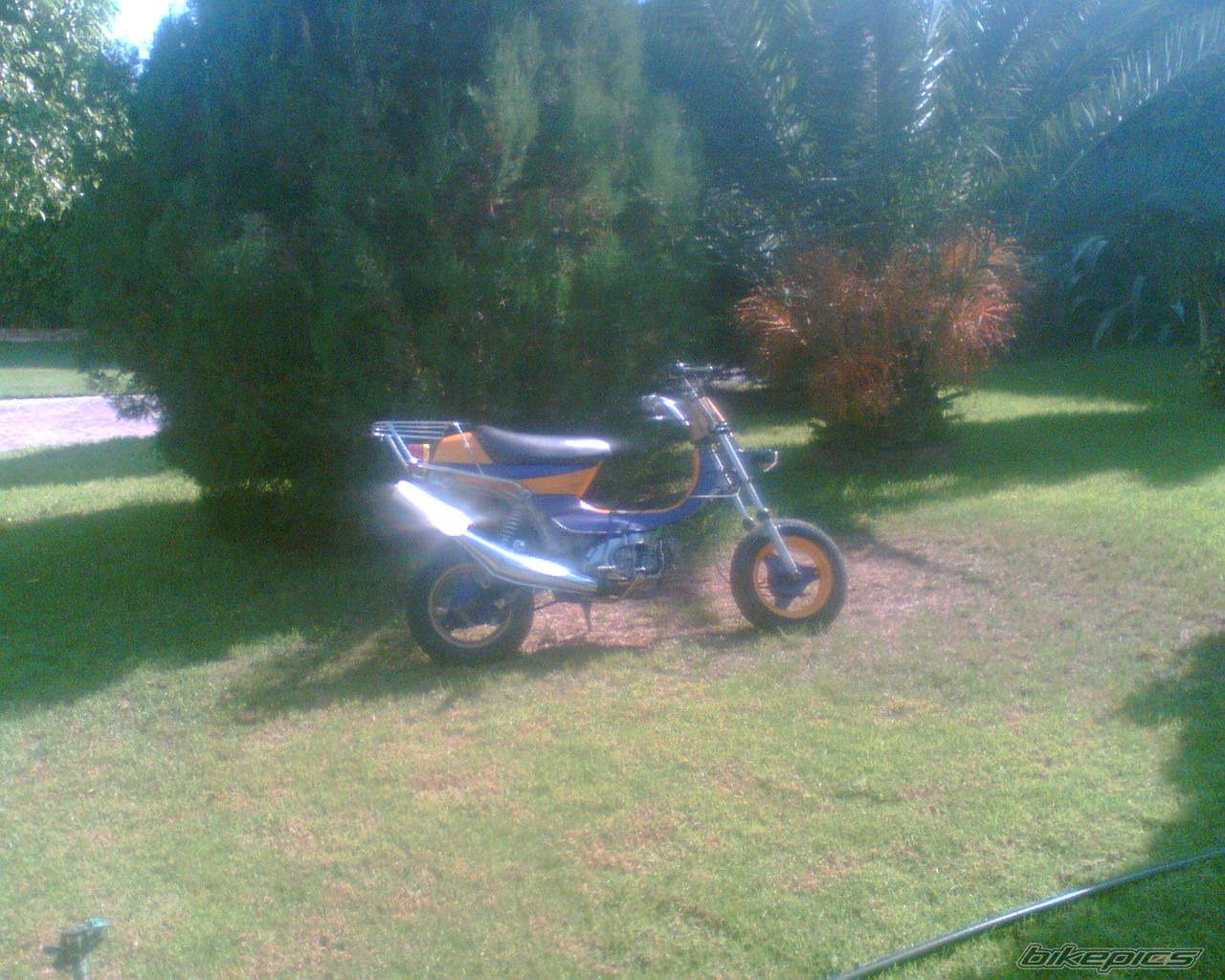 Photo 649019