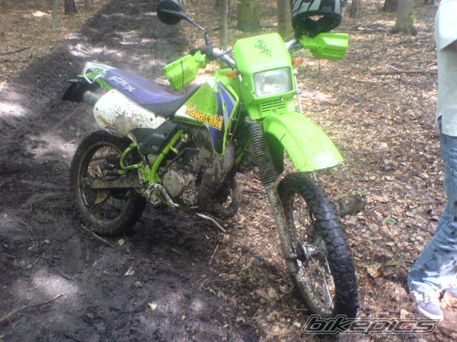 Photo 649213