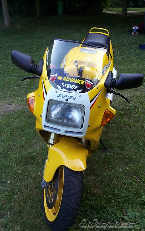 Photo 6493