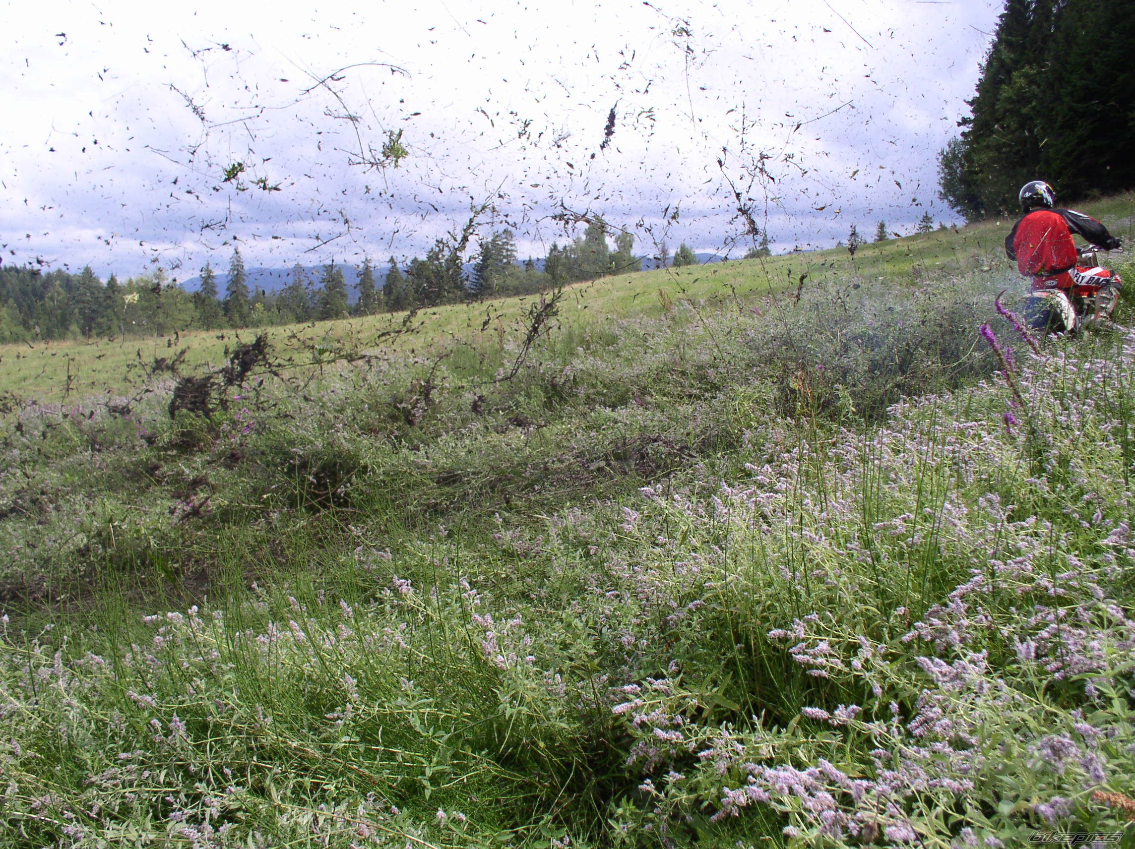 Photo 649618
