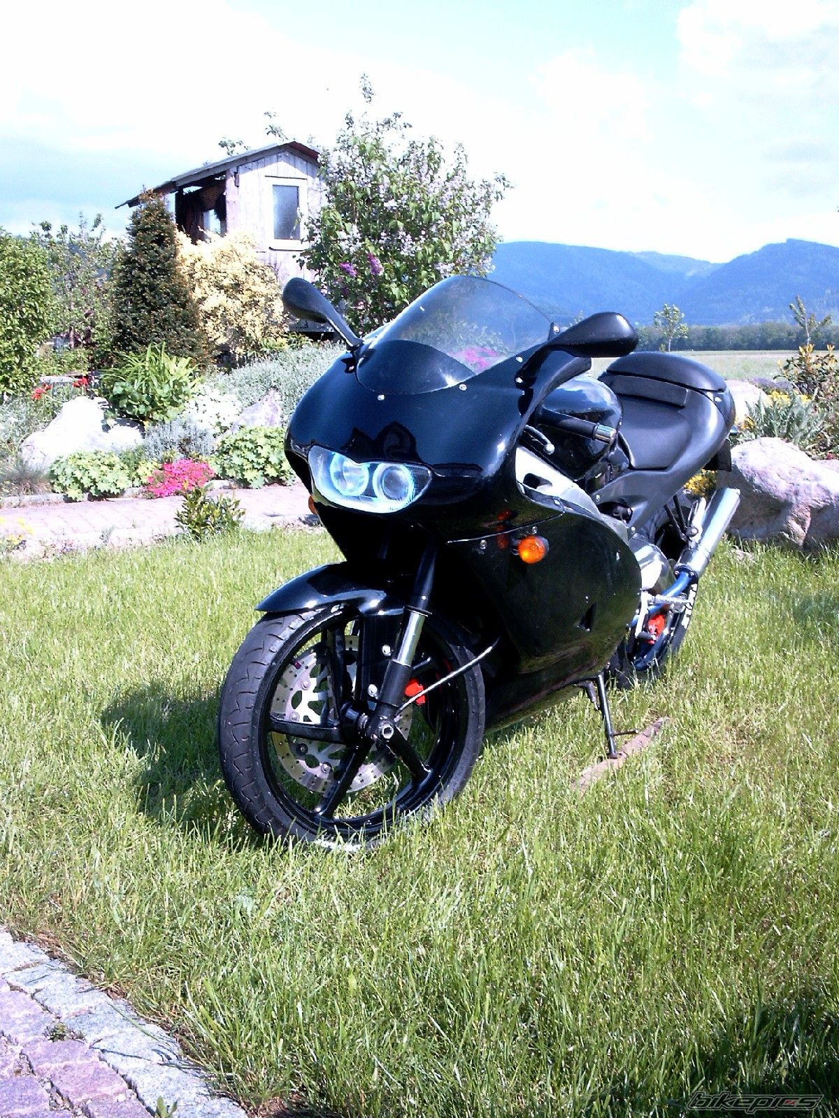 Photo 649666